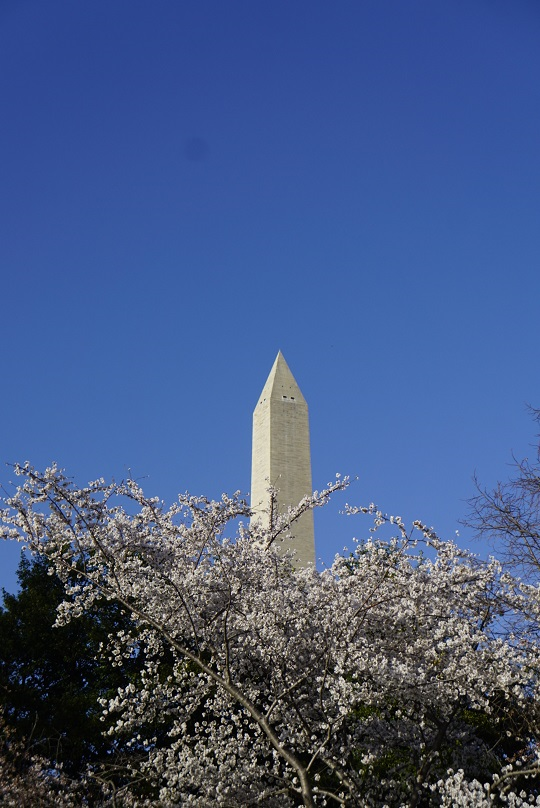 washington Monument